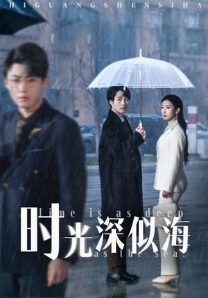时光深似海（35集）红果免费短剧免费看全集