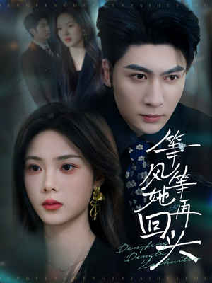 等风等她再回头（80集）全集免费观看西瓜短剧