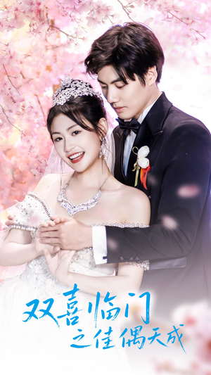 双喜临门之佳偶天成（42集）超级好看的短剧