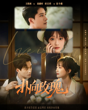 扑向玫瑰（77集）无需充值短剧尽情看