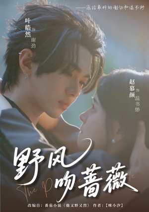 野风吻蔷薇（78集）热门短剧推荐。