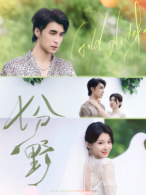 七分野（78集）甜宠短剧追到爽