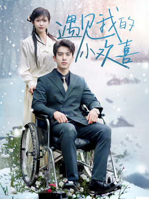 遇见我的小欢喜（70集）短剧合集导演剪辑版