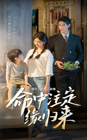 命中注定缘归来（63集）看完还想看的精彩短剧