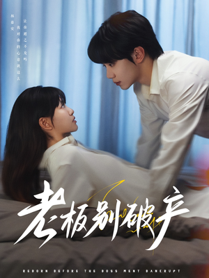 老板别破产（72集）一个短剧看全集