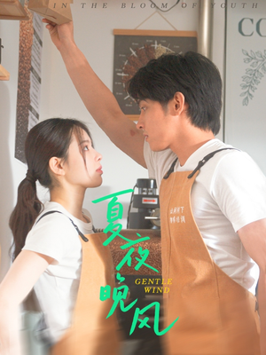 夏夜晚风（12集）精彩短剧热播中