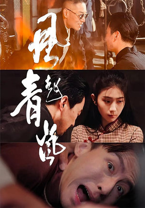 风起青岚（96集）最新短剧热门推荐