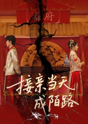 接亲当天成陌路（50集）每天更新短剧一起来追吧