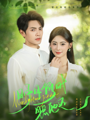 明月何时照他还（73集）精彩短剧看全集