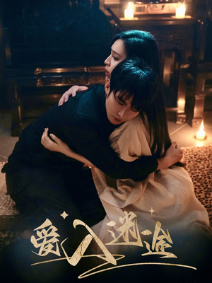 爱入迷途（67集）每天分享不一样的热播短剧