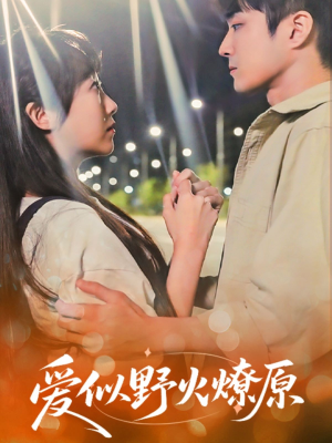 爱似野火燎原（47集）免费短剧尽享影视魅力