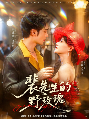 裴先生的野玫瑰（72集）红果短剧免费看全局