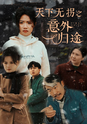 天下无拐之意外归途（61集）最新短剧正在热播