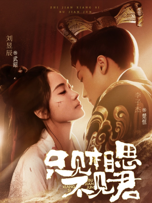 只见相思不见君（82集）好看的短剧又来了抢先看