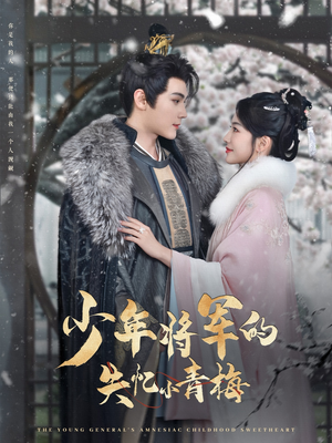 少年将军的失忆小青梅（100集）短剧完整版免费