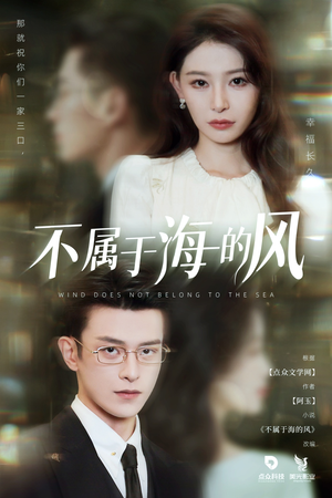 不属于海的风（40集）精彩的网络短剧