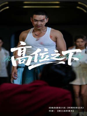 高位之下（65集）终于可以免费看短剧了