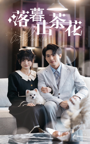 落幕山茶花（50集）精彩短剧在线观看