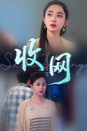 收网（60集）在线观看短剧完整版