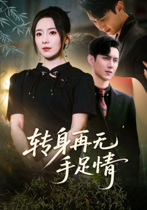 转身再无手足情（71集）排行榜前十的短剧