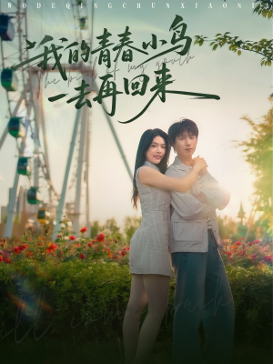 我的青春小鸟一去再回来（95集）免费观看精彩短剧