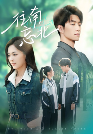 往南忘北（73集）一口气看到最新短剧大结局