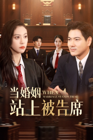当婚姻站上被告席（30集）分享好看的短剧