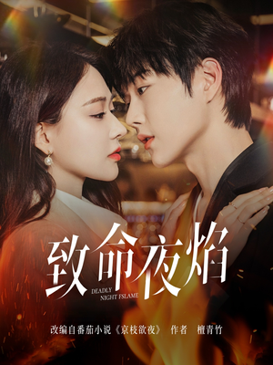 致命夜焰（80集）短剧完结全集限免刷
