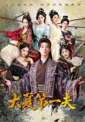  大夏第一夫（90集）无广告畅享短剧视觉盛宴