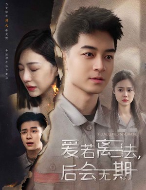 爱若离去，后会无期（70集）抢先看热门短剧