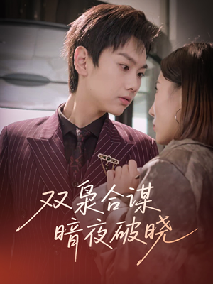 双枭合谋暗夜破晓（30集）在线就可以看短剧全集了