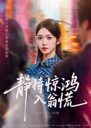 静待惊鸿入翁慌（40集）看短剧放松一下
