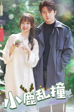 小鹿乱撞（40集）火爆热播短剧抢先看
