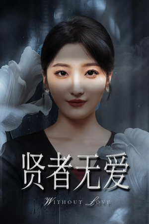 贤者无爱（42集）深夜必看热门短剧推荐