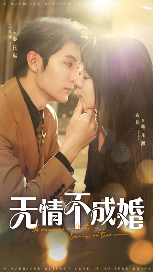 无情不成婚（70集）最新热播短剧抢先看
