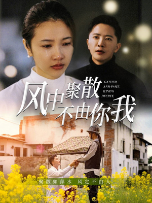 风中聚散不由你我（41集）短剧大结局连更全集