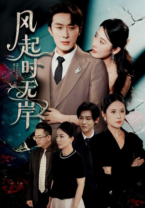 风起时无岸（58集）免费观看最新短剧大结局