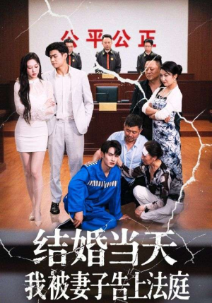 结婚当天我被妻子告上法庭（30集）精彩又上头的短剧来了