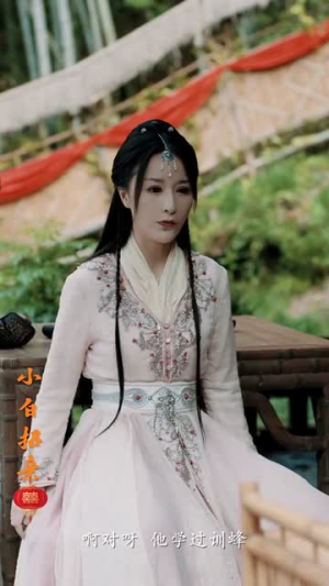 小白招亲（78集）终于可以免费看短剧了