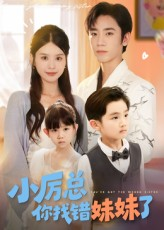 小厉总你找错妹妹了（52集）短剧全集一次看个够