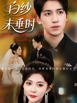 老婆婚礼，我当证婚人（54集）蛋花短剧免费看全集