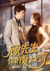 顾先生你的爱太迟了（60集）短剧限免全集任你点