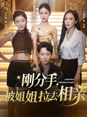 刚分手被姐姐拉去相亲（73集）短剧超清全集在线看
