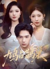 鸠占鹊巢（70集）短剧完结篇全集连播