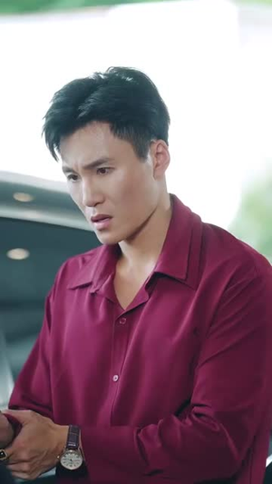 无敌贾二虎（80集）口碑之选短剧免费看