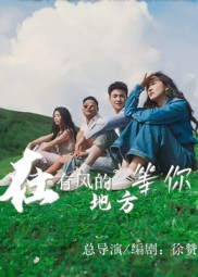 在有风的地方等你（32集）全网短剧抢先看全集