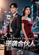 逆袭合伙人(31集）短剧流畅播放免费看