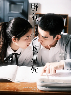 野狗吻月亮（68集）超火爆短剧抢先看