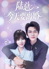 陆总今天要离婚（81集）短剧全集解锁零收费