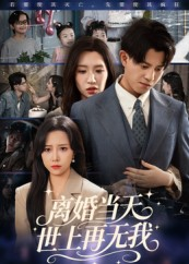 离婚当天世上再无我（60集）我全都看完了的经典短剧回顾